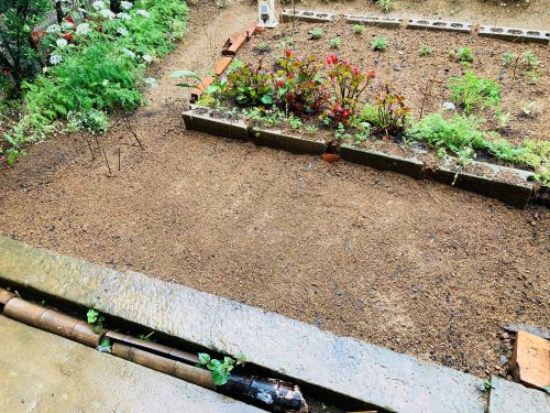 庭の左側の雨水改善の画像