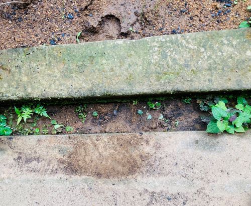 雨水が少々流れた跡の画像